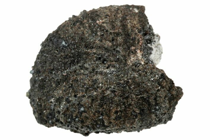 Ait Saoun EH/EH Chondrite Meteorite ( g) - Fresh Fall! #304210